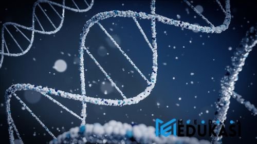 Alam Semesta Tak Terbatas: Planet Baru yang Mengguncang Ilmu Pengetahuan