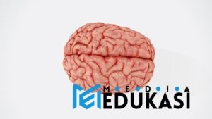 Apa yang terjadi di otak saat kita mengalami déjà vu?