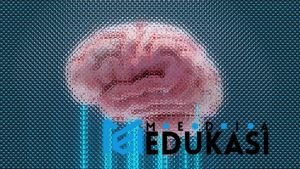 Atasi Stres & Cemas: Kiat Neuro Sains untuk Otak Lebih Tenang