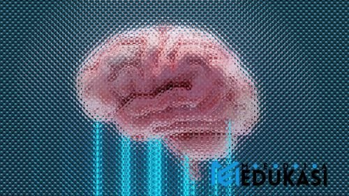 Atasi Stres & Cemas: Kiat Neuro Sains untuk Otak Lebih Tenang