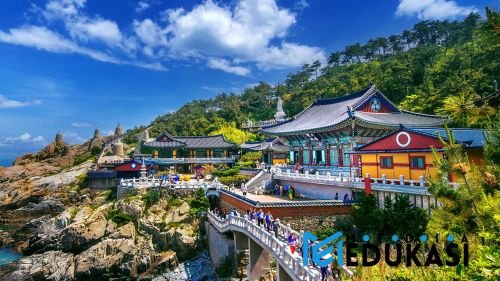 Bagaimana Korea Selatan Menciptakan Budaya Belajar yang Kompetitif?