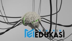 Bagaimana teknologi bisa membaca pikiran kita dalam 20 tahun ke depan?