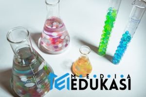 Bikin Mikroba Baik Happy! Pola Makan & Hidup Ini Kunci Sehatmu