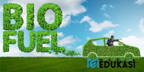 Bobibos Apakah Bisa dari Tanaman Padi Menjadi Bahan Bakar Bio Oil?