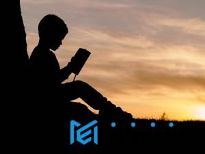 Bukan Hanya Buku! Rahasia Lingkungan Belajar Pembentuk Otak Cerdas