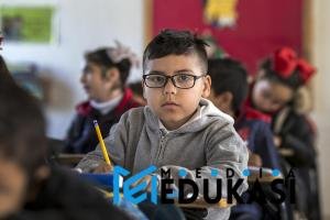 Ciri-ciri Anak Genius Didalam Kelas
