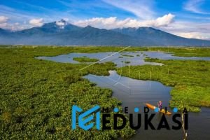 Danau Rawa Pening: ekosistem rawa yang masih lestari.
