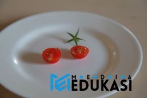 Gunakan piring kecil untuk kontrol porsi makan.