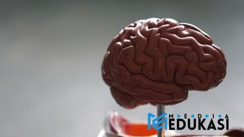 Jaga Kesehatan Mental: 7 Cara Praktis Atasi Cemas & Overthinking Tiap Hari