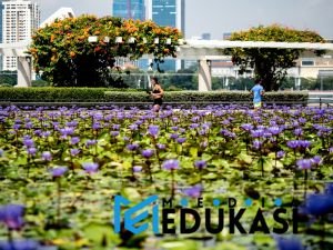 Lari Pagi: Bukan Sekadar Olahraga, Ini Kunci Sukses Harimu!