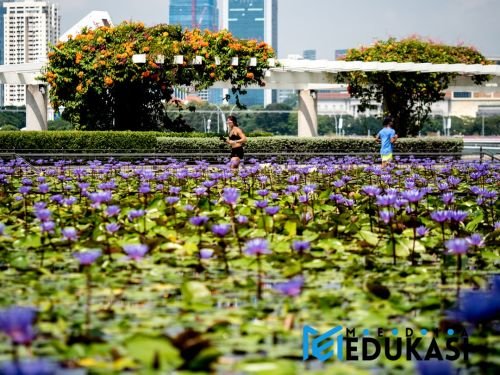 Lari Pagi: Bukan Sekadar Olahraga, Ini Kunci Sukses Harimu!