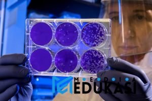 Membongkar Otak Kreatif: Tingkatkan Ide Brilian Ala Neurosains