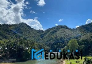 Menemukan jejak harimau Sumatra di Hutan Rimbang Baling.