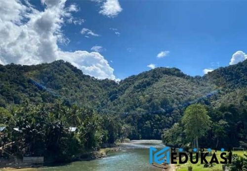 Menemukan jejak harimau Sumatra di Hutan Rimbang Baling.