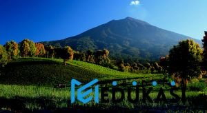 Menyusuri hutan hujan tropis di Taman Nasional Kerinci Seblat.