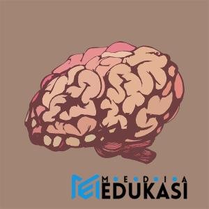 Otak Kiri Vs Otak Kanan: Mitos atau Fakta