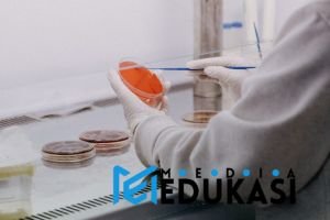 Rahasia Koloni Angkasa: Masa Depan Manusia di Bintang?