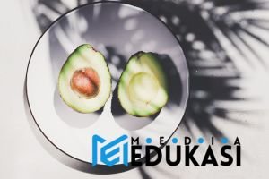 RAHASIA! Nutrisi Sehat Tanpa Ribet untuk Kamu yang Super Sibuk