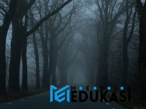 Rahasia Pantai Indonesia: Petualangan Edukatif Tak Terlupakan!