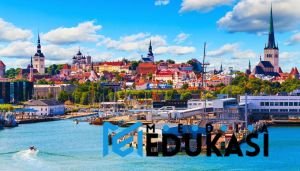 Revolusi Pendidikan di Estonia: Teknologi sebagai Tulang Punggung Sekolah