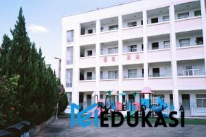 Sekolah Inklusif: Transformasi Pendidikan yang Tak Banyak Orang Tahu Dampaknya