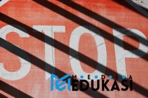 Stop Hafalan! Metode Mengajar Proyek Ini Bikin Siswa Cerdas & Aktif