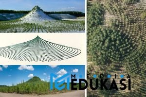 Tree Mountain oleh Agnes Denes: 11.000 Pohon sebagai Karya Seni Ekologis Abadi