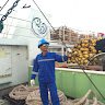 Arham Amiruddin